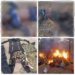 Troops Kill Bandits, Clear Hideouts In Kaduna