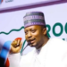 PDP Claims Of Parallel Army False, Hallucinatory, Says APC Nt’l Youth Leader 