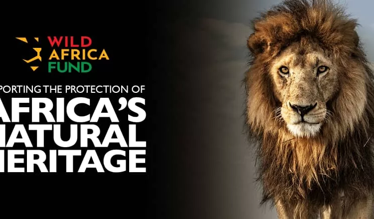 WildAid Cofounder, Peter Knights, Starts New African Wildlife Charity 1 IMG 20230124 WA0019 jpg
