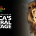 WildAid Cofounder, Peter Knights, Starts New African Wildlife Charity 5 WildAid Cofounder, Peter Knights, Starts New African Wildlife Charity