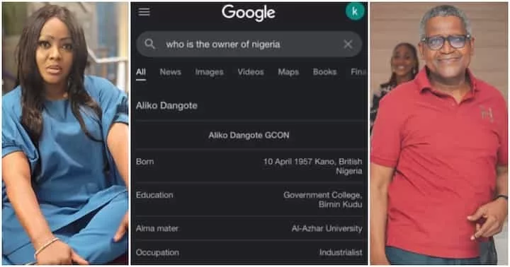 Why Google Says 'Dangote Is Owner Of Nigeria' 1 Dangote