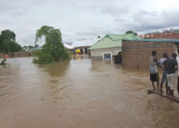 Flood Disaster: Group Launches Hygiene, WASH Intervention In Yobe