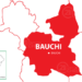 Bauchi Records 872 Perinatal Deaths In 6 Months 5 Bauchi Records 872 Perinatal Deaths In 6 Months