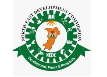 Renewed Hope As NEDC Promotes Research, Devt In North East Via Grant