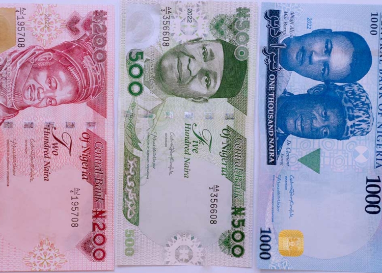 NEW NAIRA 2