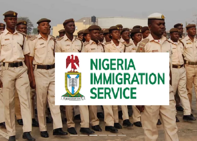 NIS Sets Up Task Force To Clear 100,000 Unclaimed Passports 1 Nigeria Immigration Service jpg