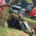 Hadeja-Jama’are River Basin Authority Donates Seeds To Farmers