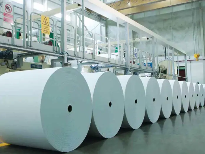 6 Things You Need To Know When Investing In Paper Mill 1 Paper Mill 696x522 696x522 1