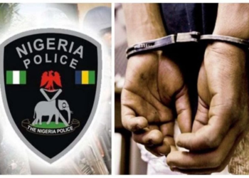 7 Robbers Nabbed In Benue Communities At Yuletide