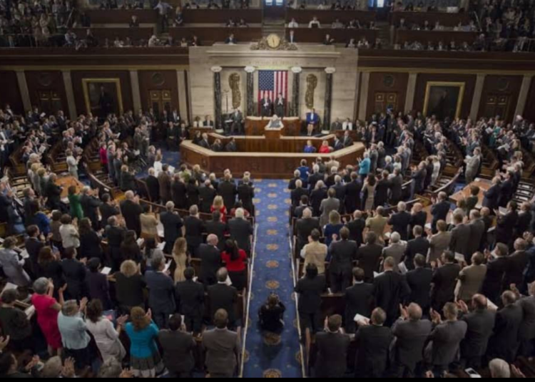 Speakership: Resolving The Logjam In US Congress And Lessons For Nigeria 1 Screenshot 20230108 205215