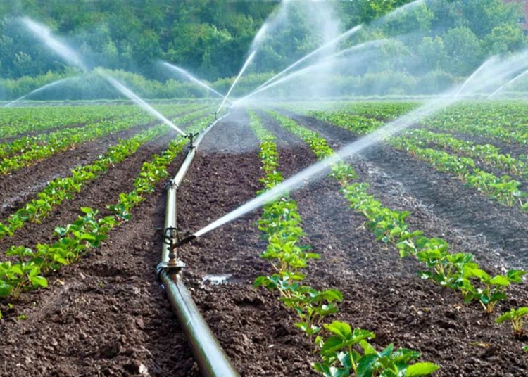 KADCCIMA Urges Federal Govt To Review Economic Policies 1 Sprinkler Irrigation