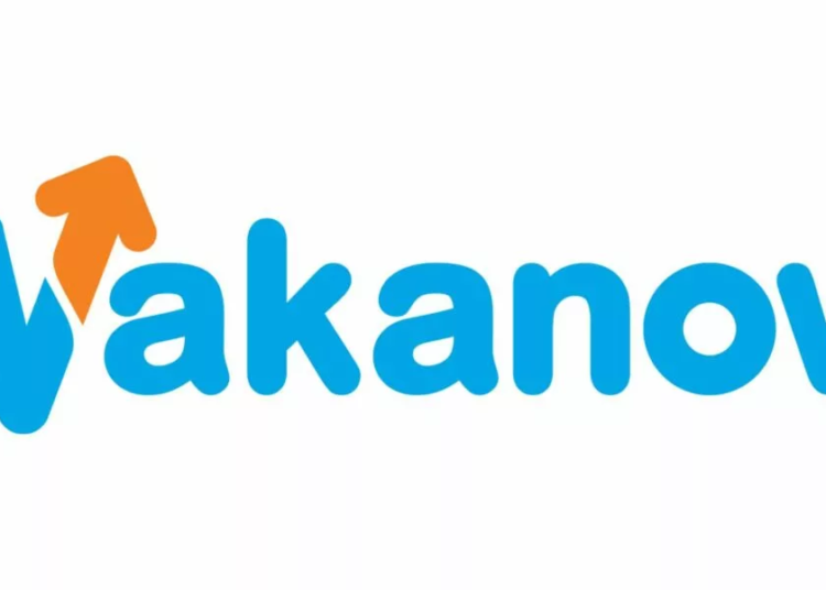 Wakanow Restructures For Global Expansion 1 Wakanow jpg