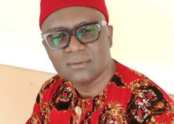 Insecurity: Ideato North Fast Becoming Nigeria’s Killing Field