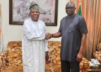 2023: Shettima Hails Fayose For ‘Supporting’ Tinubu