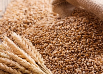 Wheat Import Costs Nigeria N753.bn In 9 Months, Drops By 16%