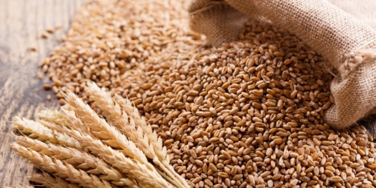 Wheat Import Costs Nigeria N753.bn In 9 Months, Drops By 16% 1 Wheat1
