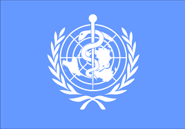 WHO Calls For Political Commitment To Building Strong Health System 1 download 1 1