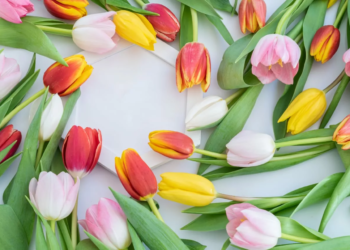 How Did You Feel When Someone Bought You Flowers?