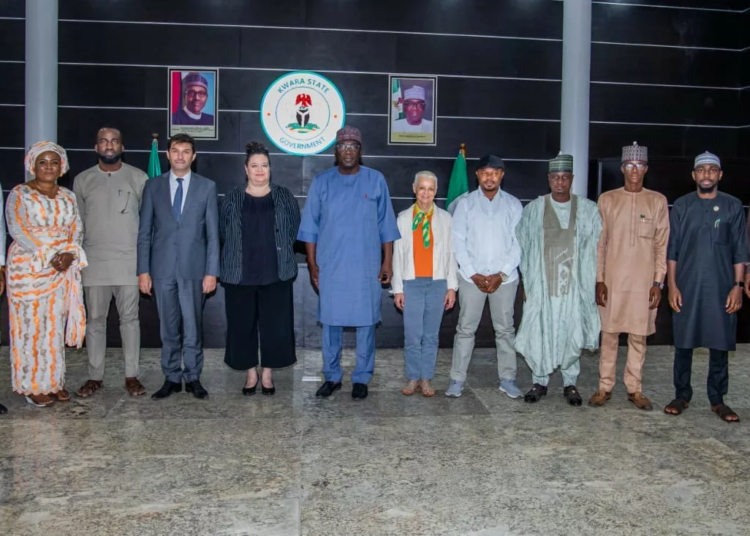 10 French Firms To Invest In Kwara's Grazing Reserve, Says Ambassador 1 image 6483441 3 jpg