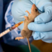 Edo Records 10 New Cases Of Lassa Fever, 8 Deaths