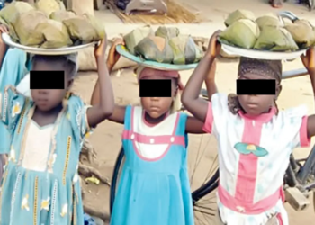 Beyond UBEC’s Efforts, Experts List Causes Of Out-of-school Children, Seek Collective Action