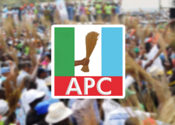 APC Candidate Vows To Push For Budgetary Reforms In Senate