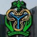 CBN Directs Banks To Open On Weekends For Currency Disbursement 5 CBN Opens Portal For Deposit Of Old Naira Notes