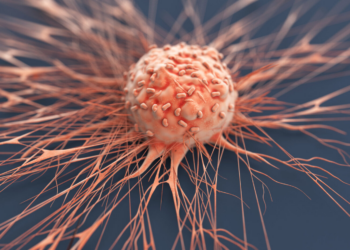 Cancer: Uptake Of Guidelines Will Harmonise Treatment – Experts