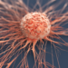 Cancer: Uptake Of Guidelines Will Harmonise Treatment – Experts