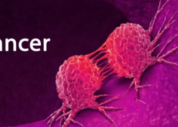 Promoting Cancer Prevention, Diagnosis And Therapy