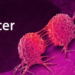 Promoting Cancer Prevention, Diagnosis And Therapy