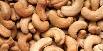 FG Replaces Planned Cashew Export Ban With Road Map As Growers Eye N635bn Market 2 Cashew Trading Reports Positive Outlook For Local Processing Industry