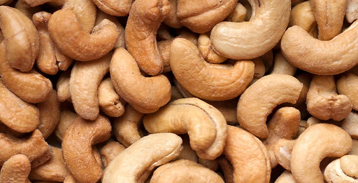 cashew industry