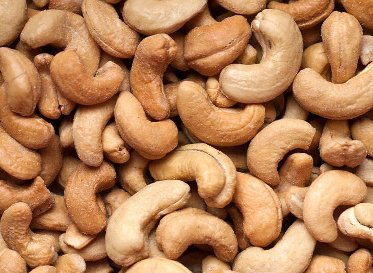 Investing In Cashew Nuts