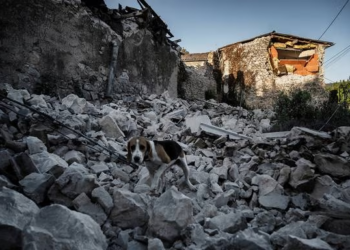 Death Toll In Turkey-Syria Earthquake Hits 1,800