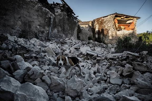 Turkiye-Syria Earthquake: Girl Rescued After 178 hours, Death Toll Now 35,000 1 Pic Credit; Nz Herald