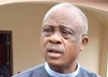 Vote In Government That Will Partner With You – Emenike