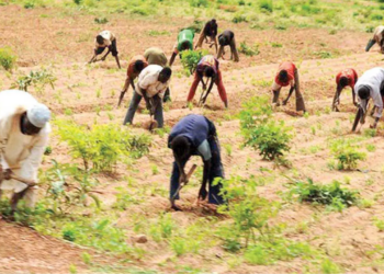 Masari’s Master Plan In Addressing Farmers-Herders Crisis In Katsina
