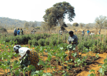 Damisa Empowers 200 Traders, Farmers In Kogi Communities