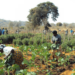 Damisa Empowers 200 Traders, Farmers In Kogi Communities