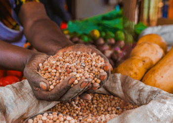 Expert Urge Govt To Review Policy On Food Production