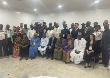 Non-implementation Of Humanitarian Mine Action Plan Threat To North East Recovery – Federal Govt 
