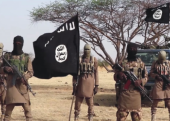 ISWAP Frees Medical Doctor Abducted In Gubio