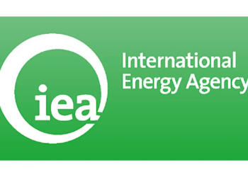 Downstream Deregulation Inconsistency Cost Nigeria N7trn In Subsidies – IEA