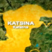 Killings In Katsina