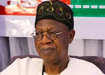 Opposition Planning To Destabilise Electoral Process Via Fake News – Federal Govt