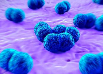 Outbreak Of Meningitis