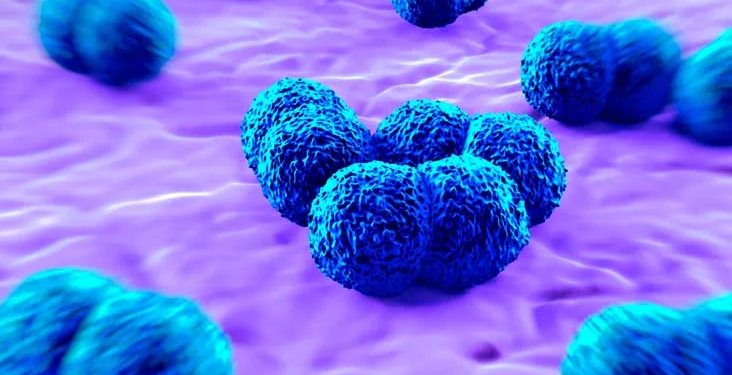 Meningitis