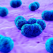 Outbreak Of Meningitis