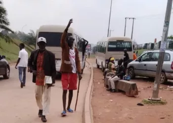 Touts As Revenue Contractors